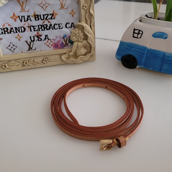 Authentic Louis Vuitton Strap For Walker! - Picture 3 of 10